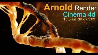 Arnold Install and Update in Cinema 4d