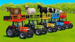 TRANSPORTING COWS, SHEEPS, HORSES, BULLS, GOATS & TRACTORS WITH MAN TRUCKS - FS22