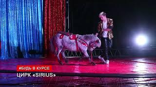 Цирк «SIRIUS» в г.Несвиж