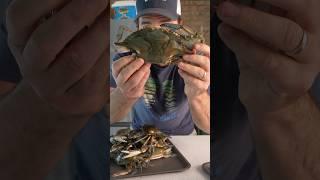 The Best Crab to Buy? #seafood #crab #kingcrab