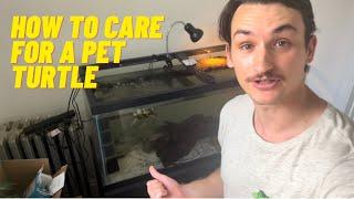 How To Care for a Pet Turtle: Are They High  Maintenance?