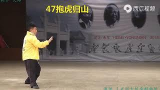 傅清泉老师演示传统杨式太极拳85式