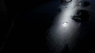 Flight Over The Lake Near Forest At Evening Night - cutestockfootage.com