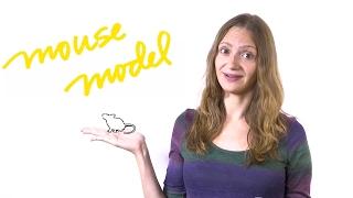 What is a mouse model?