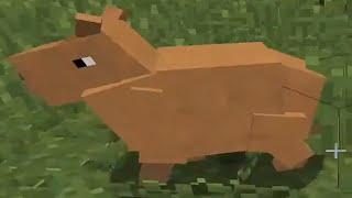 C418 - Capybara