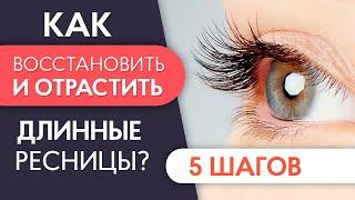 КАК ОТРАСТИТЬ РЕСНИЦЫ? 5 шагов для восстановления и отращивания ресниц  PRO Взгляд