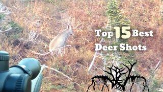 TOP 15 BEST DEER HUNTING KILL SHOTS