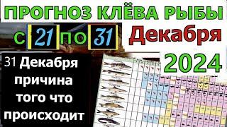 Прогноз клева рыбы на неделю с 21 по 31 Декабря 2024  Календарь клева рыбы  Лунный Календарь рыбака