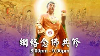 【同步】净土宗网络念佛【第1711天】+ 开示视频《念佛幸福》 23-11-2024 Online Recitation Session（晚上8pm-9pm (GMT+8))【打开CC字幕】