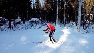 Одновременный одношажный классический  ход