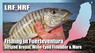 Fishing in Fuerteventura - Striped Bream, Wide-Eyed Flounder & Much More