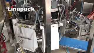 Linapack Rotary pouch machine with auger filler