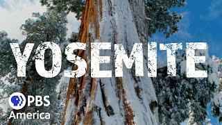 Yosemite: The Great Wilderness. (2017) | Full Documentary