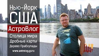 Дробные карты в астрологии. Нью-Йорк – столица мира. Дерево Прабхупады