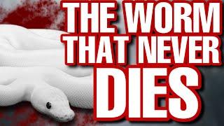 The WORM that never dies - The TRUTH about Eternal Damnation