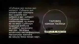 Фозил кори таровех намози тасбехи