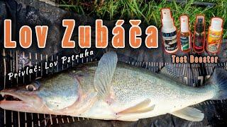 Lov Zubáča/Candáta na rybku/ Lov Pstruha na Prívlač/#fishing #raubfisch #zanderfishing