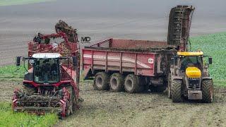 JCB Fastrac 8330 Icon - SARL Merlier Lequette