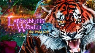 Labyrinths of the World: The Wild Side