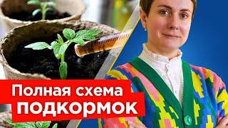 ХОТИТЕ КРЕПКУЮ РАССАДУ И БЫСТРЫЙ РОСТ КОРНЕЙ? Вот лучшая схема подкормок для рассады овощей и цветов