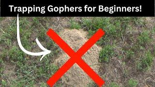 How To Use the Gopher Hawk Trap Successfully! (2 Minute Tutorial)