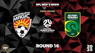 NPL Men's NNSW Round 16 First Grade - Broadmeadow Magic v Belmont Swansea United