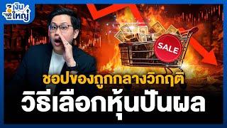 สอนวิธีเลือกหุ้นปันผล หุ้นไทยไหนน่าเก็บ | Money Buffalo