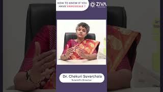 Varicocele Symptoms | What is Varicocele | Male Infertility | Dr Chekuri Suvarchala | Ziva Fertility