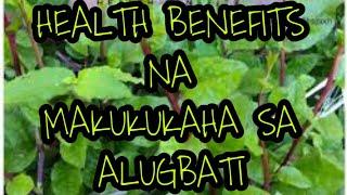 #ALUGBATI #HEALTHBENEFITS | ADOTV KABER