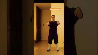 Zhi Neng Qi Gong #shorts #taichi #martialarts #qigong  #youtubeshorts #tiktok #zhineng #fyp #foryou