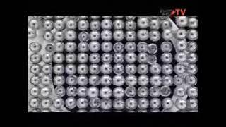 Начало Эфира (Europa Plus TV, 17.06.2015)