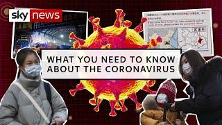 Coronavirus: What you need to know