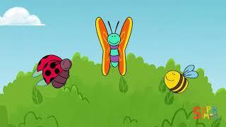 Butterfly Ladybug Bumblebee   Super Simple Songs