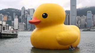 What can be found inside the rubber duck?