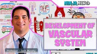 Embryology | Development of Vascular System