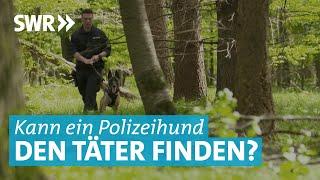 Spürhunde und Schutzhunde im Einsatz: So werden Polizeihunde in Göppingen ausgebildet