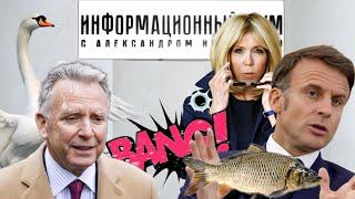 Уиткоффу лебедя в пах, Макрону леща в лоб ️Занимательная зоология и ДМБ