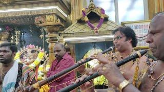 Thaaye Karumari I LR Eswari I #ammansongs I Nadhaswaram I Shri Kanaga Thurkkai Amman Ealing 2022