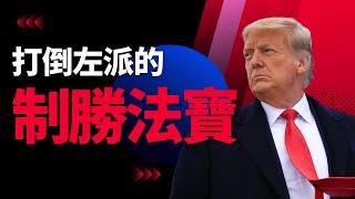 打倒左派的致勝法寶| AI News 愛報導
