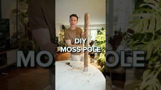 Super easy way of making your own Moss Poles. Check out my channel for more tutorials :) #mosspole