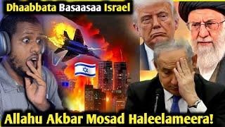 Allaahu Akbar! Mosad Dhaabbanni Basaasa Israel Haleelameera/Zad ORO