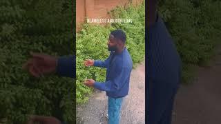 Marizu records a song with his Dad #Shorts
