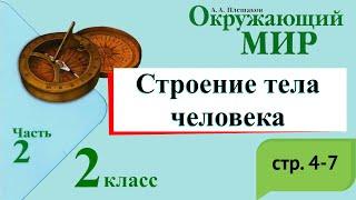 Строение тела человека. Окружающий мир. 2 класс, 2 часть. Учебник А. Плешаков стр. 4-7