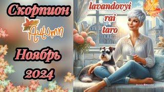 Скорпион  в ноябре! Тайны Мадридского дворца #скорпион #таропрогноз #раскладтаро #гадание