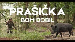 Ansambel Dveh Dolin - Prašička bom dobil