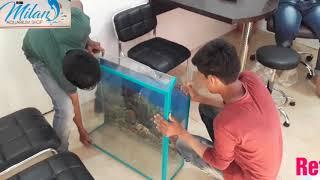 Freshwater FISH Aquarium set-up & Decoration ideas