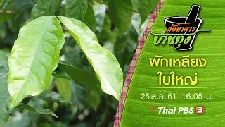 ภัตตาคารบ้านทุ่ง : ผักเหลียงใบใหญ่ (25 ส.ค. 61)