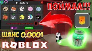 БОЖЕСТВЕННЫЙ ПИТОМЕЦ СИМУЛЯТОР ПРИЗРАКА! GODLY PET GHOST SIMULATOR ROBLOX