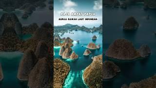 keindahan bawah laut raja ampat papua #indonesia #wisata #rajaampat #papua #surgabawahlaut