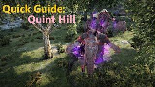 You Suck at Quint: Quick Guides